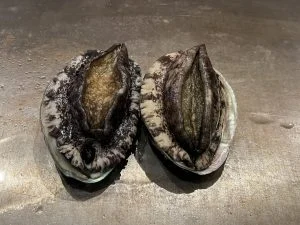 熱海の鉄板焼き店であわびを味わう贅沢なひととき
